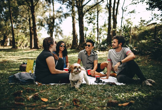 Friends talking and having a picnic